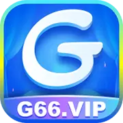 G66.VIP 